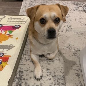 Meet your Posher, Anthony